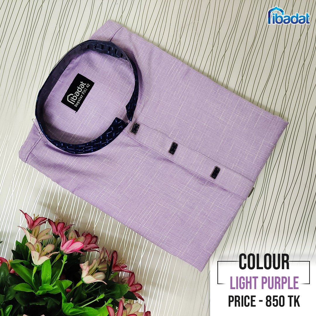 Light Purple colour Punjabi